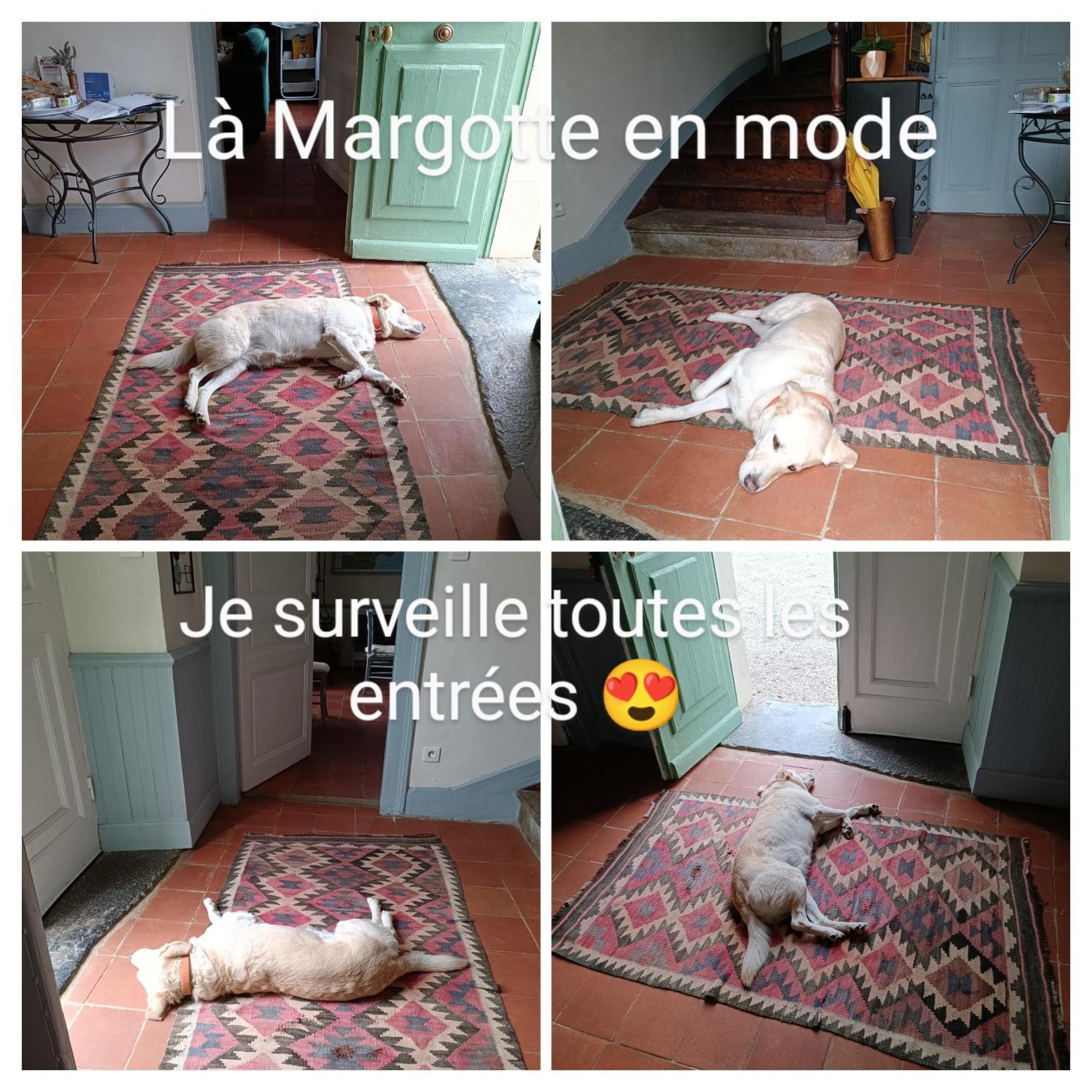 Baladous Bed and Breakfast Montgaillard-de-Salies Exteriör bild